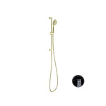 Load image into Gallery viewer, OPAL SHOWER RAIL WITH AIR SHOWER BRUSHED GOLD
