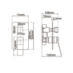 Load image into Gallery viewer, RUSHY Series Square Brushed Nickel Wall Mixer With Diverter (color up)