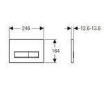 Load image into Gallery viewer, Sigma50 Dual Flush Button Brass Brushed with Brass Button