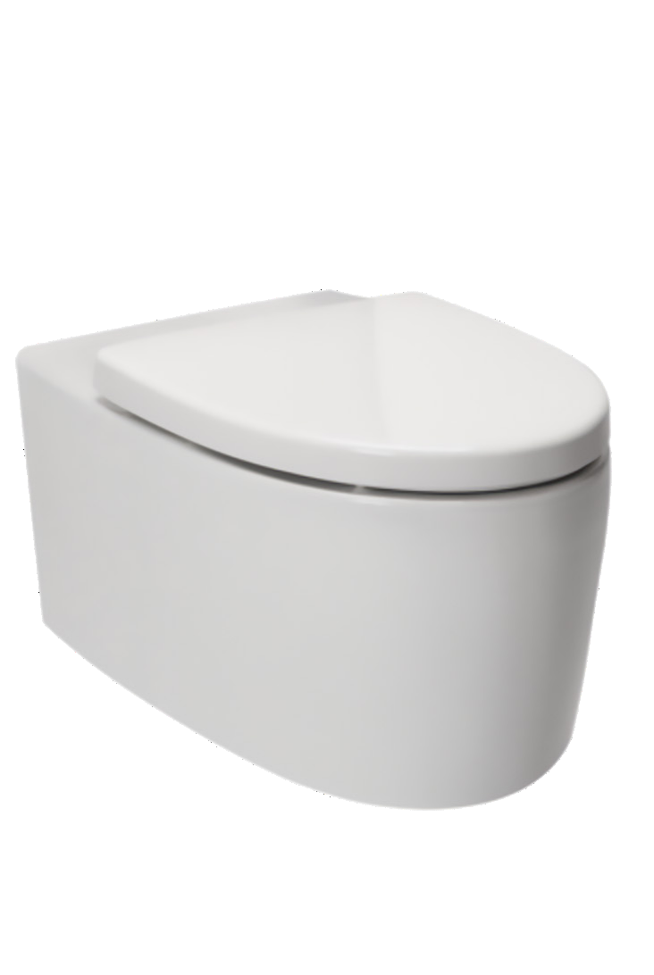 Wall hung toilets