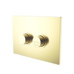 Load image into Gallery viewer, RAISED DISABLED CARE PNEUMATIC FLUSH BUTTONS PLATE DDA COMPLIANT  BRUSHED GOLD
