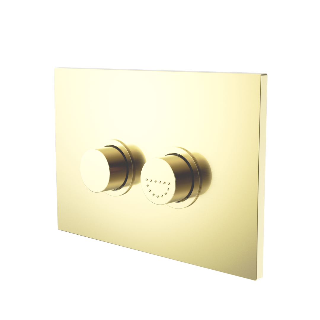 RAISED DISABLED CARE PNEUMATIC FLUSH BUTTONS PLATE DDA COMPLIANT  BRUSHED GOLD