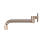 Round Swivel Wall Spout - Champagne
