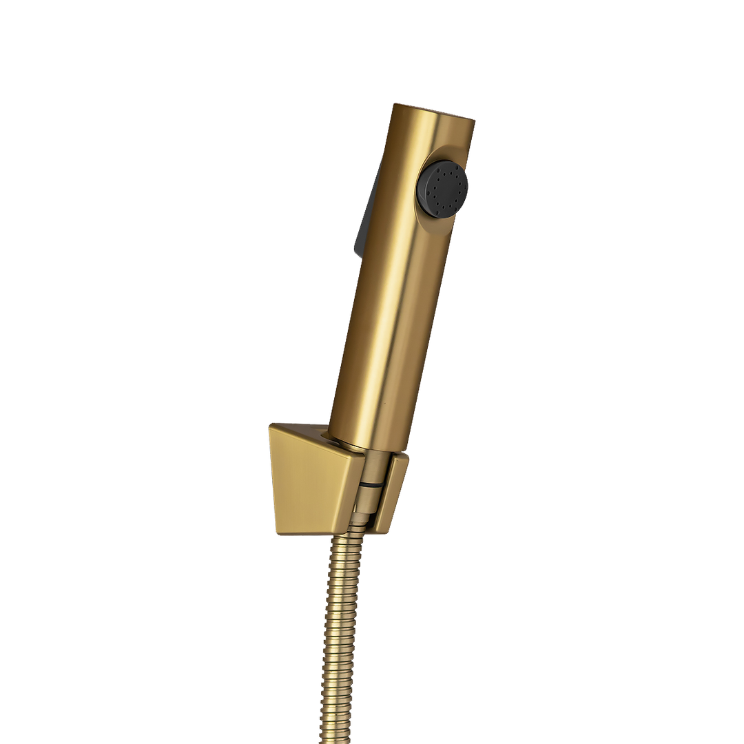 Round Brushed Brass ABS Toilet Bidet Spray Kit with Stainless Steel Hose