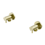 Load image into Gallery viewer, WASHING MACHINE TAP SET BRUSHED GOLD
