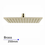 Load image into Gallery viewer, Square Brushed Brass Shower Head 250mm
