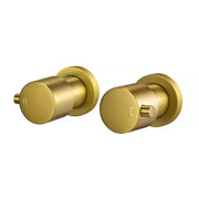 Round Brushed Brass Shower Wall Taps