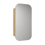 Load image into Gallery viewer, Vienna Shaving Cabinet

