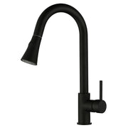 Black Pull Out Kitchen Mixer