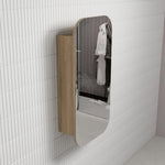 Load image into Gallery viewer, Vienna Shaving Cabinet
