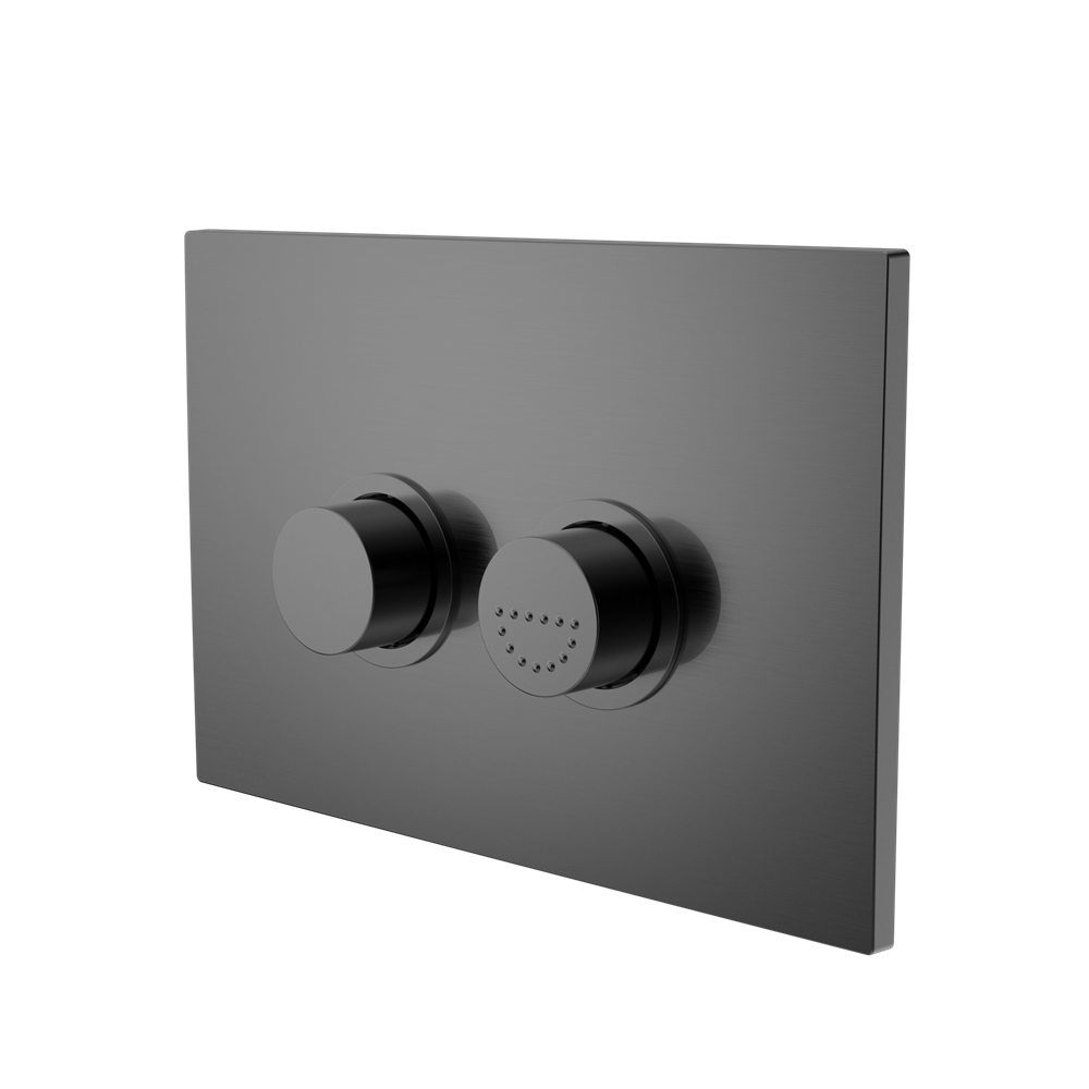 RAISED DISABLED CARE PNEUMATIC FLUSH BUTTONS PLATE DDA COMPLIANT  GUN METAL