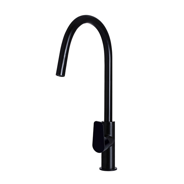 Round Paddle Piccola Pull Out Kitchen Mixer Tap - Matte Black
