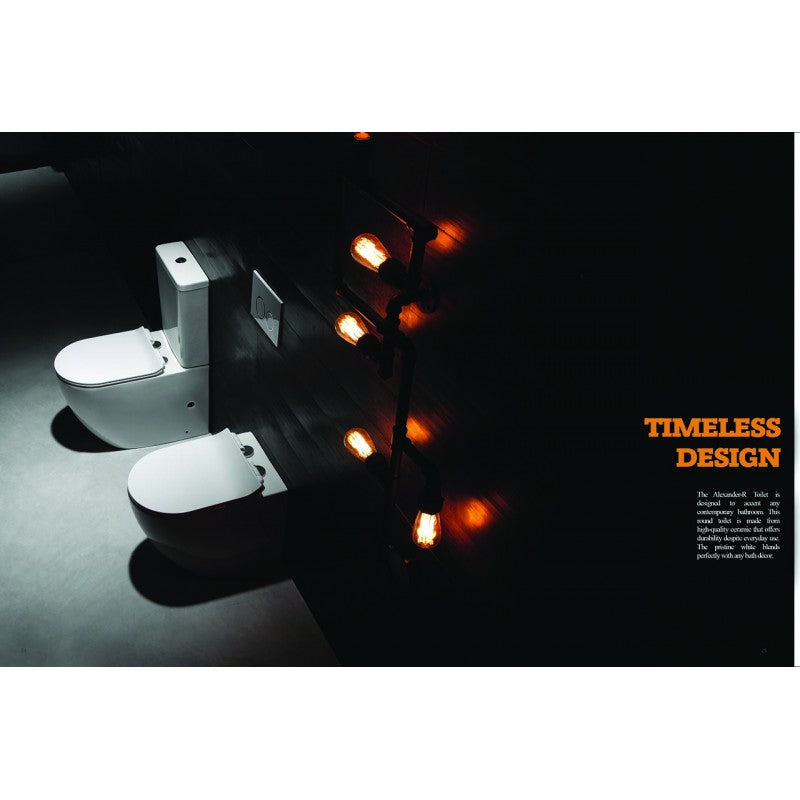 Alexander-R Rimless Wall Faced Pan