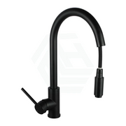 Black Pull Out Kitchen Mixer