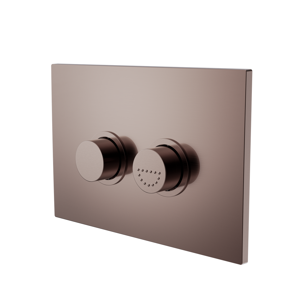 RAISED DISABLED CARE PNEUMATIC FLUSH BUTTONS PLATE DDA COMPLIANT  BRUSHED BRONZE