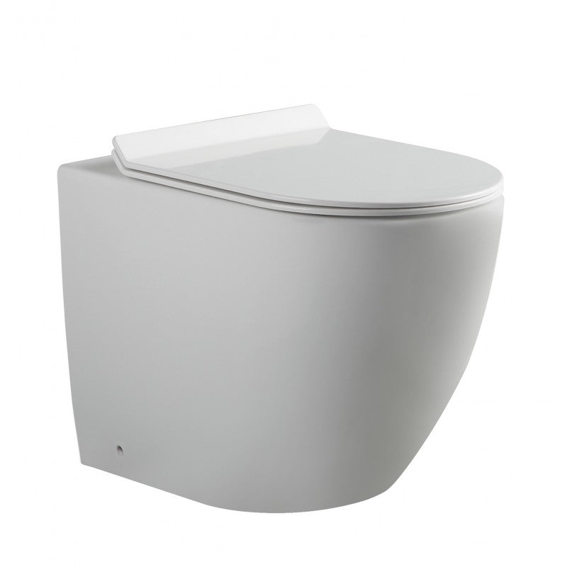 Alexander-R Rimless Wall Faced Pan