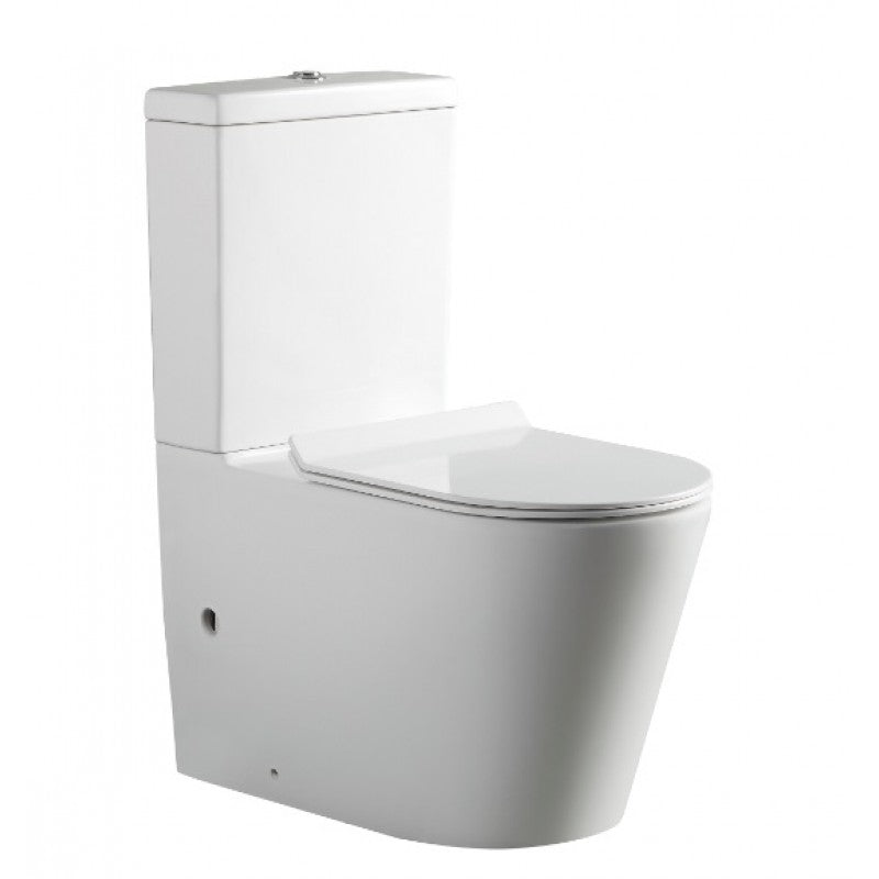 TS FLAY-R RIMLESS TOILET