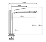 RUSHY Series Black Tall Basin Mixer