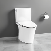 Veil 2pc BTW Toilet with Double Slim Seat - Top Inlet Only